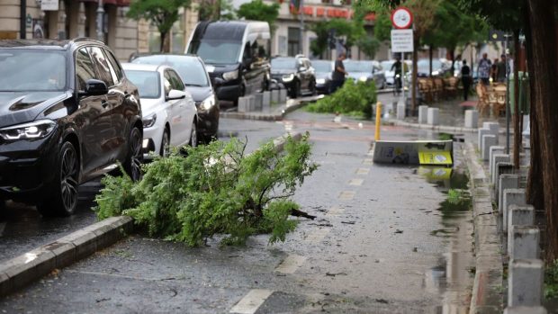 O persoană a fost lovită de fulger, 120 de apeluri la 112 din cauza copacilor prăbușiți, în Mureș
