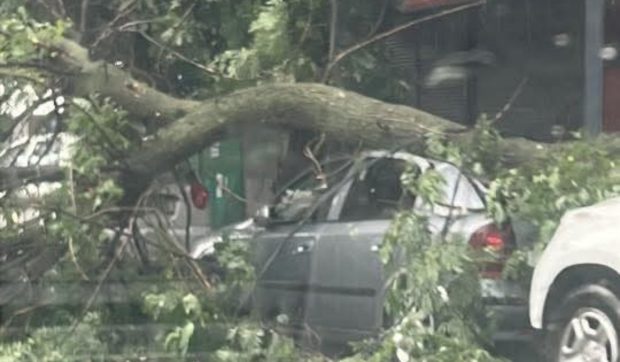 Furtuna din București a lăsat prăpăd în urmă: mașini distruse, străzi inundate, copaci prăbușiți