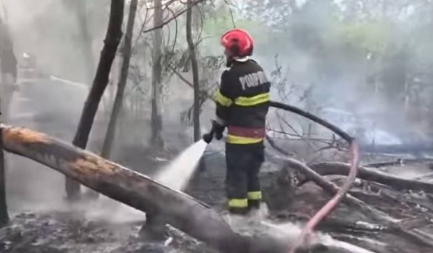 Trăsnetele au ars sute de hectare de culturi, lizieră și vegetație uscată de lângă Galați | VIDEO