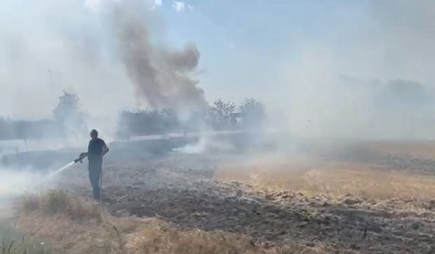 Incendiu puternic de vegetaţie uscată la ieșirea din localitatea Maglavit. Traficul rutier în zonă a fost deviat. Calea ferată e în pericol