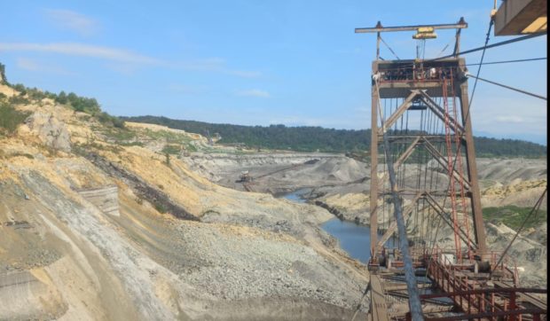 20 de hectare de pădure au îngropat linia de transport a cărbunelui din Complexul Energetic Oltenia