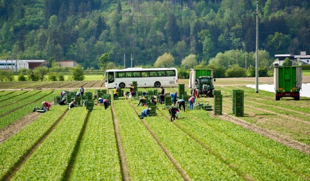Șoferul care aducea acasă șase muncitori români le-a furat 15.000 de euro și i-a abandonat într-o benzinărie, în Austria