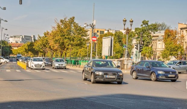 Plantele din București nu se mai pot adapta la noile temperaturi din Capitală: soluțiile recomandate de arhitecți