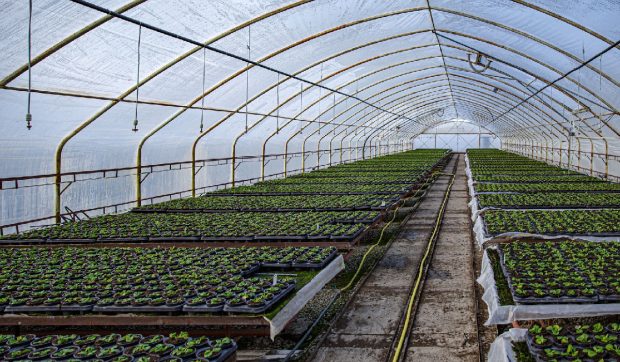 Procurorii conduși de Kovesi au descoperit fraude de 34 milioane de euro în România, 70% din anchete sunt legate de agricultură