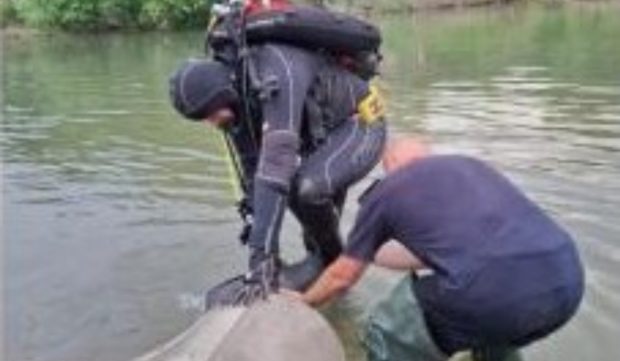 O fetiță s-a înecat în râul Crișul Negru, sub privirile surorii mai mari. Doi pescari au dat alarma după ce au văzut copila plângând pe mal
