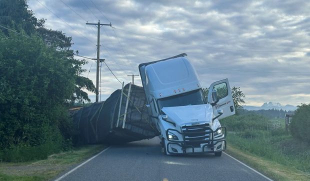 Milioane de albine au scăpat pe șosea după ce un camion s-a răsturnat în SUA. Autoritățile au declarat stare de alertă | VIDEO