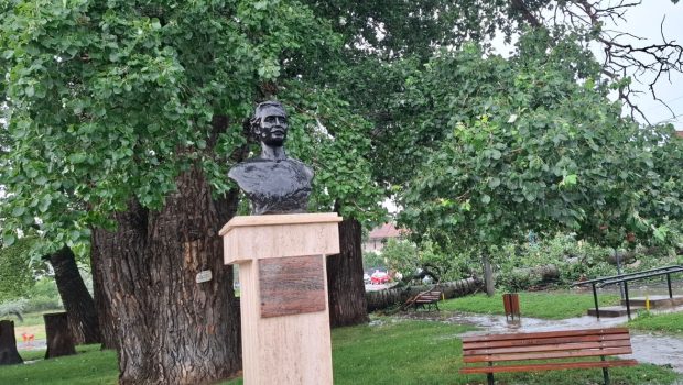 Un plop despre care a scris Mihai Eminescu, vechi de 150 de ani, s-a prăbușit din cauza furtunii