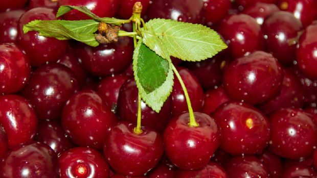 Pandișpanul şi vişinata vor fi făcute cu fructe din import: Bruma a distrus fructele românești