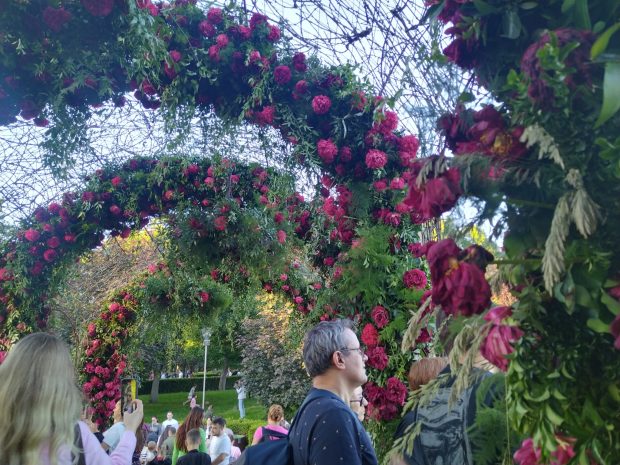 Parcul Drumul Taberei din București, transformat în univers floral literar. Grădina tematică aleasă de spectatori drept cea mai frumoasă
