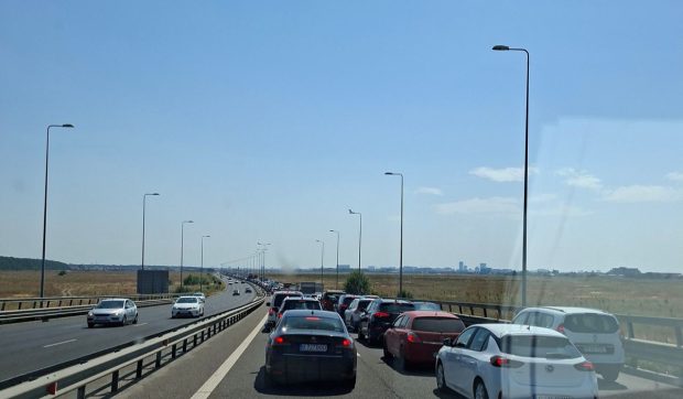 O turmă de vaci a oprit complet circulația pe Autostrada București-Ploiești și a provocat și un accident