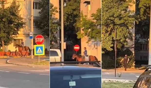 Un bărbat călare pe cal a fost urmărit de polițiști înarmați pe străzile din Focșani