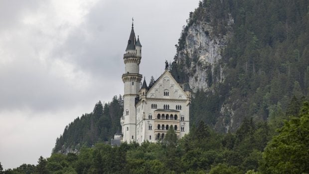 O femeie și-a închis câinele într-un dulap pentru că voia să viziteze un castel din Germania