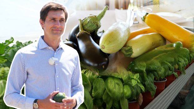 Ciprian Tătărușanu s-a apucat de agricultură și cultivă ardei iuți, dovlecei și vinete pe o suprafață de 10 hectare, în județul Dâmbovița