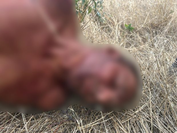 Un bărbat a fost ucis cu toporul în propria curte, în Mehedinți. Criminalul a sărit gardul și i-a cerut ceva soției victimei