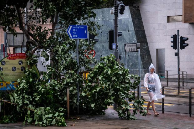 Pierderi de până la 255 de milioane de dolari în Hong Kong într-o singură zi din cauza taifunului Wipha: a fost dat cel mai dur avertisment de furtună