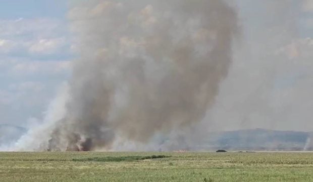 Arde miriștea lângă A7. Două echipaje de pompieri au fost trimise la Albești Paleologu