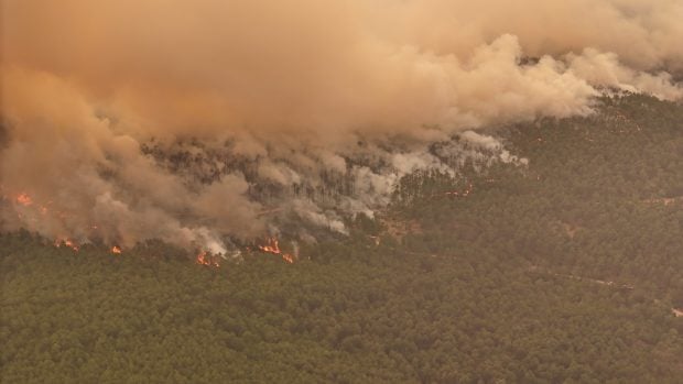 Cel puțin 17 persoane au murit și mii de oameni și-au părăsit locuințele din cauza incendiilor majore din Turcia și estul Mediteranei