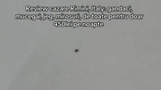 Ce a găsit o româncă într-o cameră de hotel pentru care a plătit 450 de lei pe noapte, în Italia: „Gândacii sunt de-ai casei”