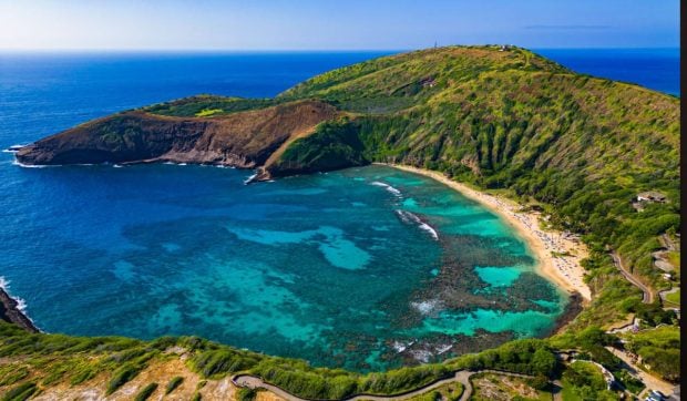 Mii de țânțari eliberați cu drone în Hawaii într-un plan ecologic fără precedent