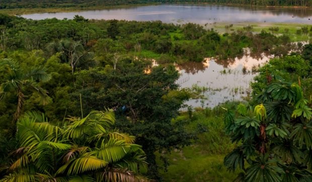 Dispozitive audio secrete cu pasaje biblice, folosite pentru convertirea triburilor izolate din Brazilia