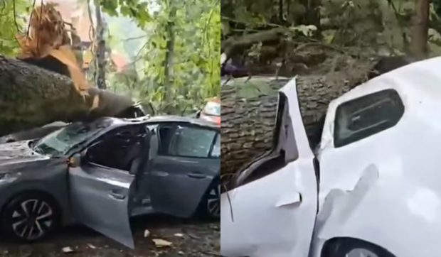 Noi imagini după prăpădul din Sinaia: mașini făcute praf de copacii puși la pământ de furtună, lângă Castelul Peleș