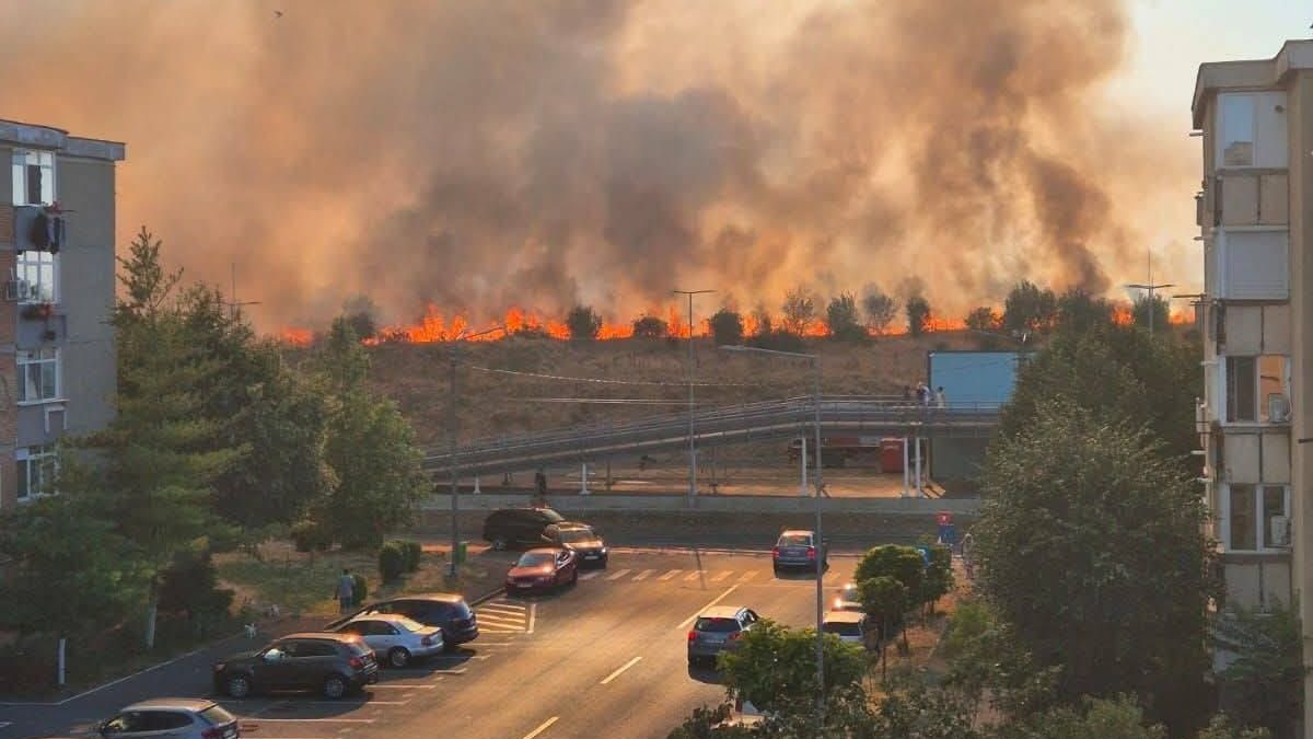 Incendiu violent de vegetație la Arad, degajări uriașe de fum: există riscul de propagare la clădirile și mașinile din apropiere