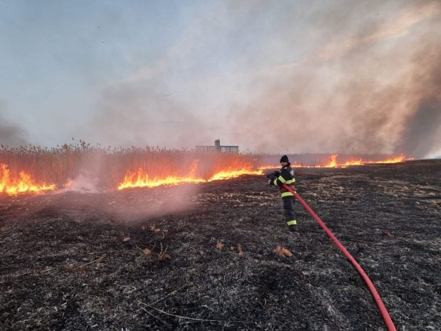 Incendiu de proporții în Brăila: peste 150 de hectare de culturi arse între Muchea și Siliștea