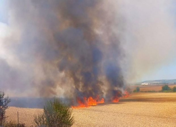 Incendiu deosebit de puternic pe A1, în zona comunei Căteasca
