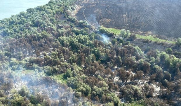 Pompierii continuă intervenția pentru stingerea incendiului din Chilia Veche, județul Tulcea. Elicopterul Black Hawk a aruncat peste 7 tone de apă