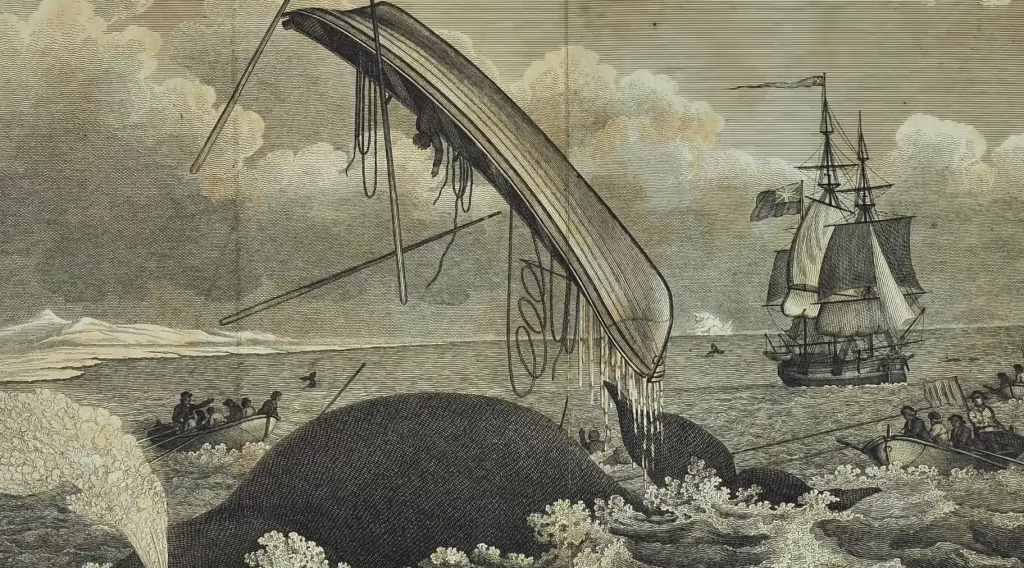 Imagine veche în care apare nava Earl of Chatham.