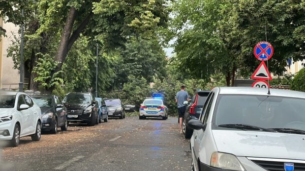 Furtuna din București a blocat străzi întregi, vântul a doborât copacii și a făcut imposibilă trecerea și pentru pietoni