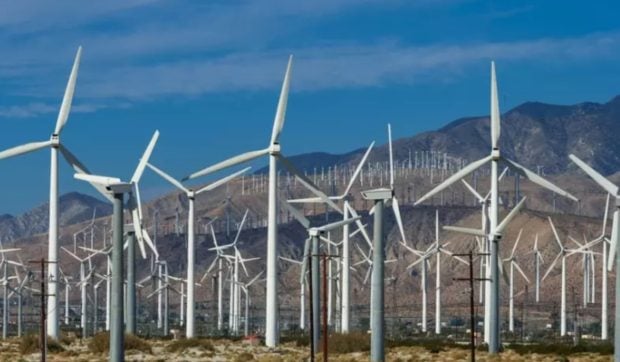 Un parc eolian de peste 100 de milioane de euro va fi ridicat la Brăila, începând din 2026