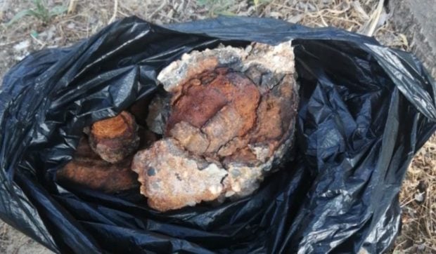 O fetiță a luat o piatră ca suvenir de pe plajă, iar un an mai târziu familia a descoperit ce pericol a adus, de fapt, acasă