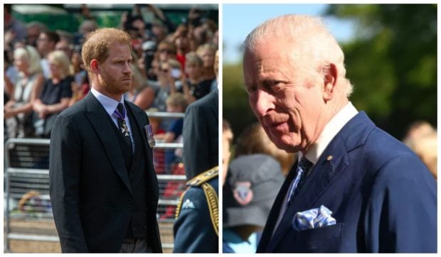 Prințul Harry face primul pas spre împăcare și a înaintat o propunere regelui Charles