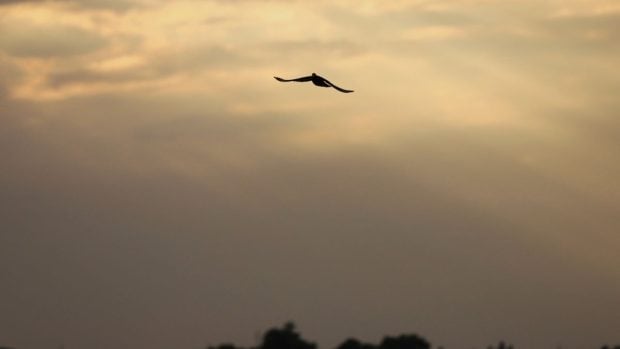 Cum va fi vremea în perioada 28 iulie – 25 august 2025. Temperaturile scad și vin ploi abundente, apoi se încălzește