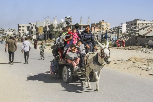 Haaretz: Lumea în care trăim. În Gaza, animalele sunt salvate, dar oamenii încă nu
