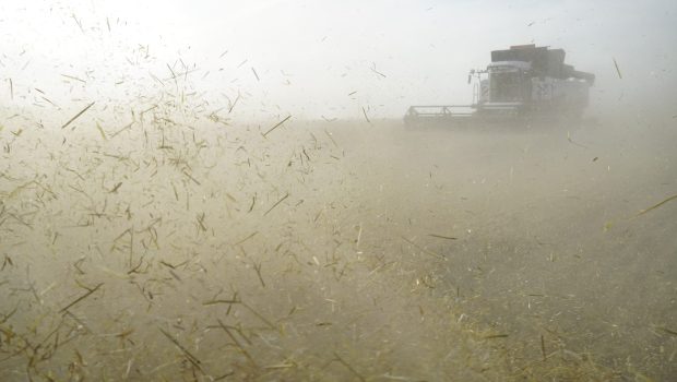 Noi probleme pentru Kremlin: principalele regiuni agricole din Rusia anunță o prăbușire a producției de grâu, porumb și floarea-soarelui