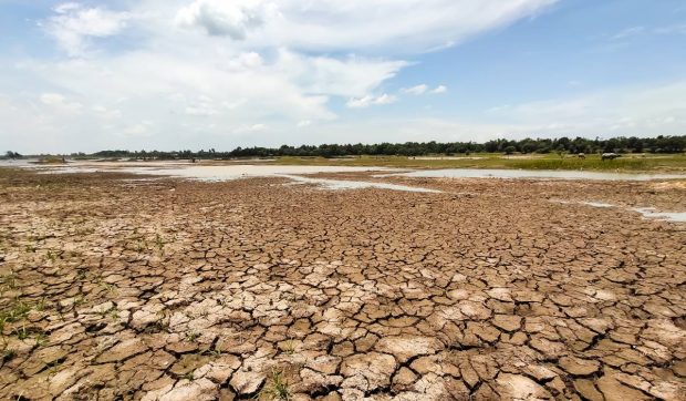 În sudul României, peste 100.000 de hectare s-au transformat în deşert sau urmează să se deşertifice. Ce e de făcut