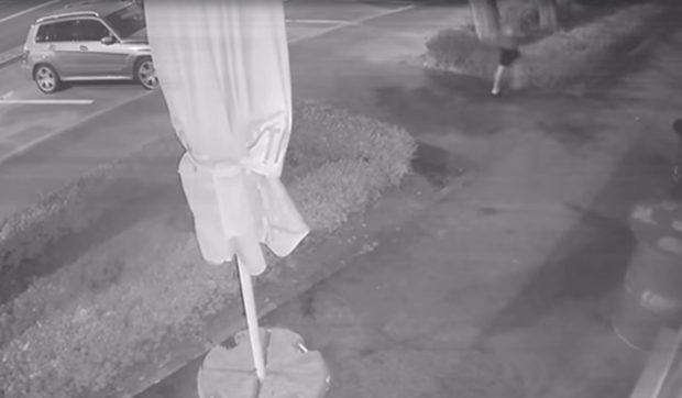 Sediul unei asociații care ajută bolnavii de cancer și copiii săraci a fost spart de două ori de același individ din Brăila I VIDEO