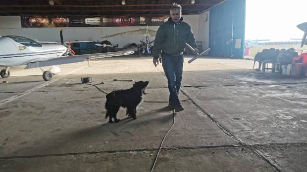 Un pilot cu o experiență uriașă, mort într-un accident aviatic, la șapte ani de la o ciocnire în aer în urma căreia a supraviețuit miraculos