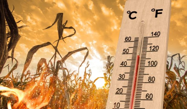 România este împărțită între caniculă și ploi torențiale. Zonele sub cod galben și portocaliu de temperaturi extreme și instabilitate atmosferică 