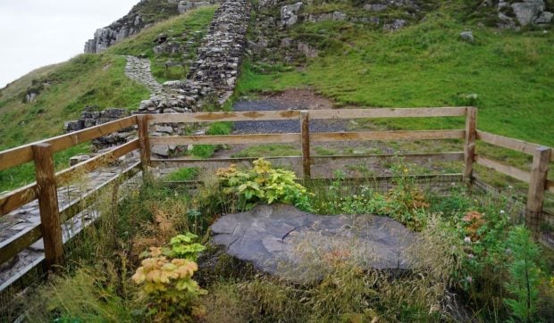 „Idioții” care au tăiat copacul de sute de ani „Sycamore Gap” au fost condamnați la închisoare. Cei doi au spus că l-au retazat pentru că erau beți