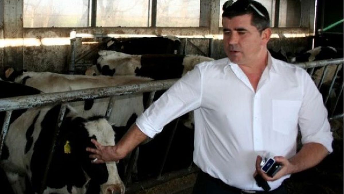 Una din cele mai mari compensații din România. Un crescător de vaci din Vrancea devine milionar în euro, după ce a dat statul în judecată