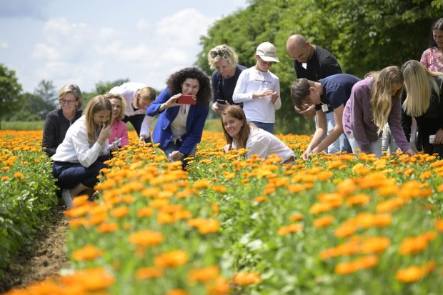 Cum se fabrică celebrele produse Weleda! Am vizitat grădina de plante medicinale din Germania, un paradis de 23 de hectare