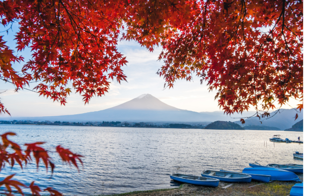 Japonia în culorile toamnei – o experiență de neuitat între tradiție și modernitate