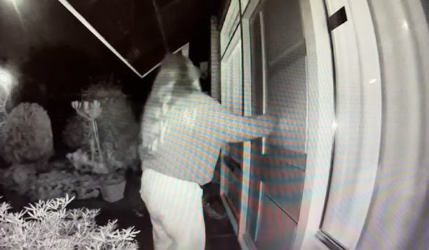 Misterul fetei care suna la 2 noaptea la uși și striga „deschide, nu știu unde să mă duc” a fost elucidat. Poliția olandeză explică: „Nu e o infracțiune”