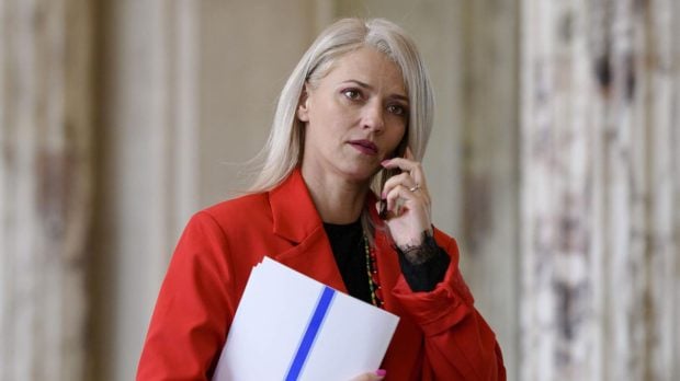 Alina Gorghiu anunță pedepse mai dure pentru agresori. Undă verde de la Guvern pe proiectul privind combaterea violenței