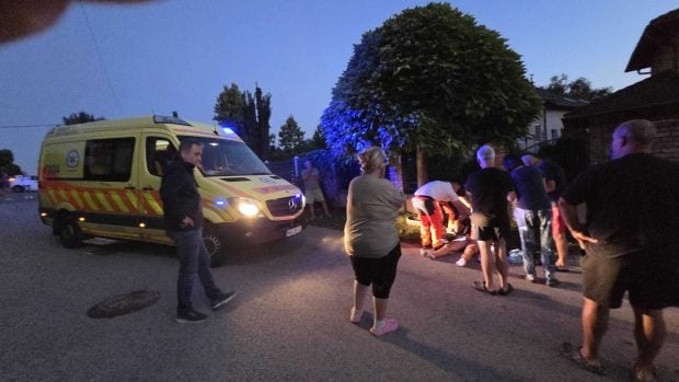 Pitbull scăpat de sub control rănește grav un tânăr, lângă Budapesta: „Băiatul urla de durere, tatăl său – de disperare”