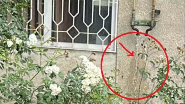 Un bărbat din Brașov a băgat apă pe țevile de gaz ale vecinilor, după ce a vrut să își monteze singur o centrală termică
