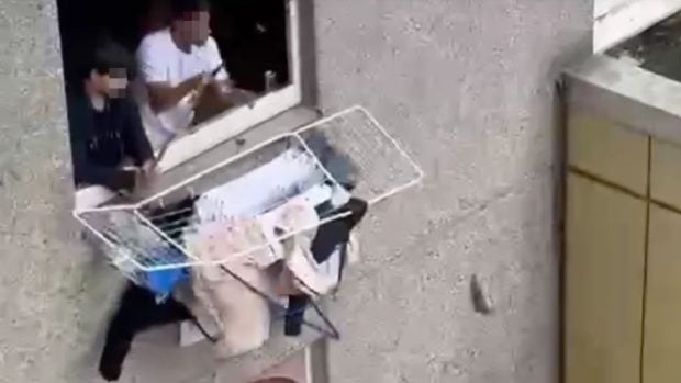 Blocul unde românii prind șobolani direct de la fereastra bucătăriei: „Bat cu piciorul în podea când intru, să-i alung! Sunt cât pisica”